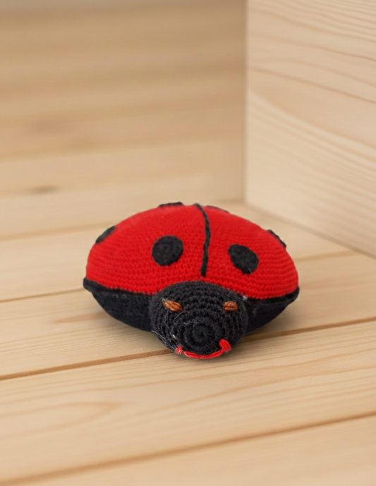 Amigurumi: "Pipa, a Joaninha da Sorte"