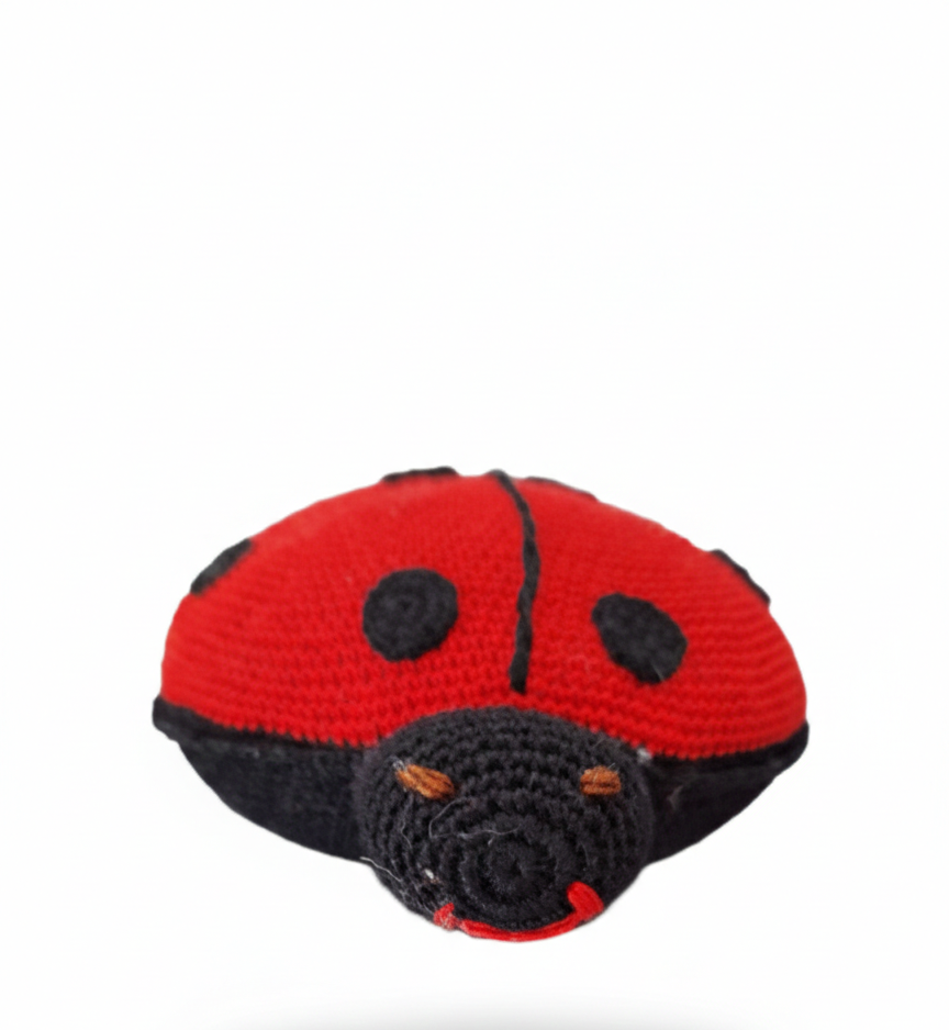 Amigurumi: "Pipa, a Joaninha da Sorte"