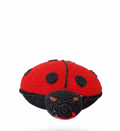 Amigurumi: "Pipa, a Joaninha da Sorte"